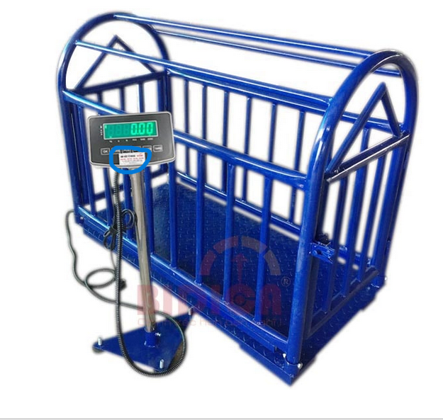 cân điện tử tphcm